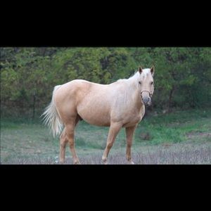 Meet your Posher, Mark